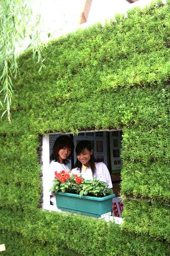 Zöldtetők, tetőkertek Kínában