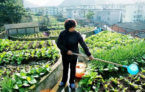 Zöldtetők, tetőkertek Kínában