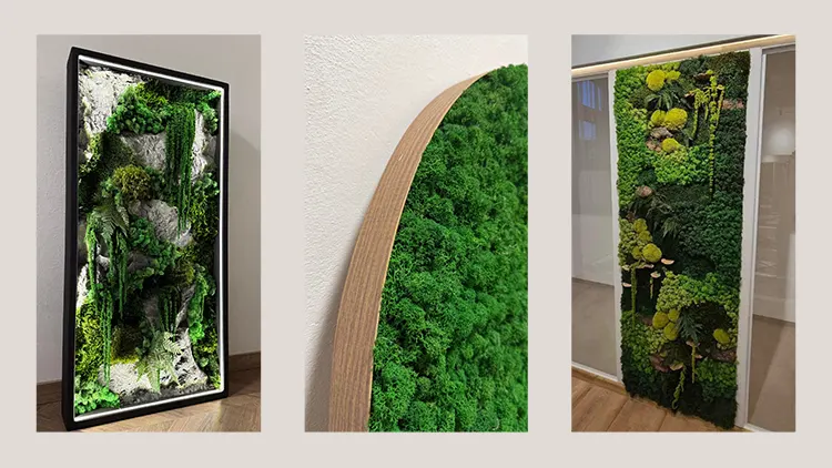 Természetes faldekorációk