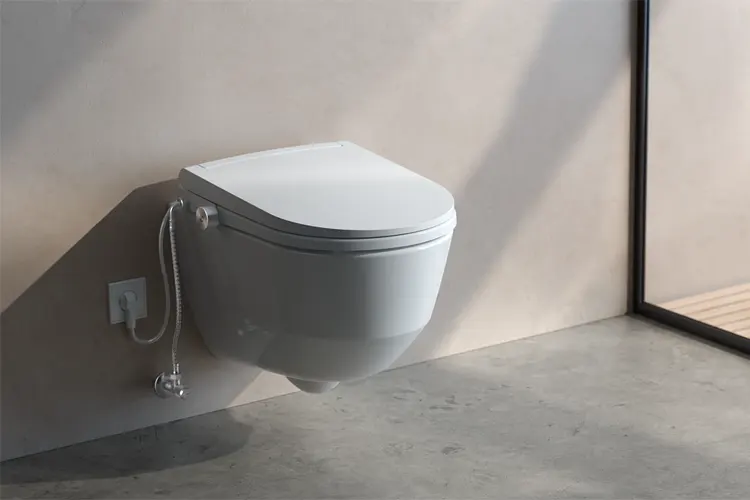 Laufen Pro Cleanet SIT