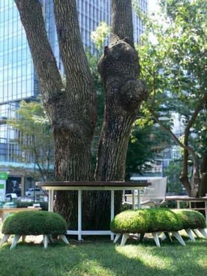 20110303_kerti_butor_13