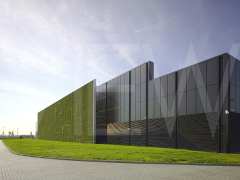 Zöldfal a Citi Data Centre frankfurti irodaházán Zöldfal a Citi Data Centre frankfurti irodaházán