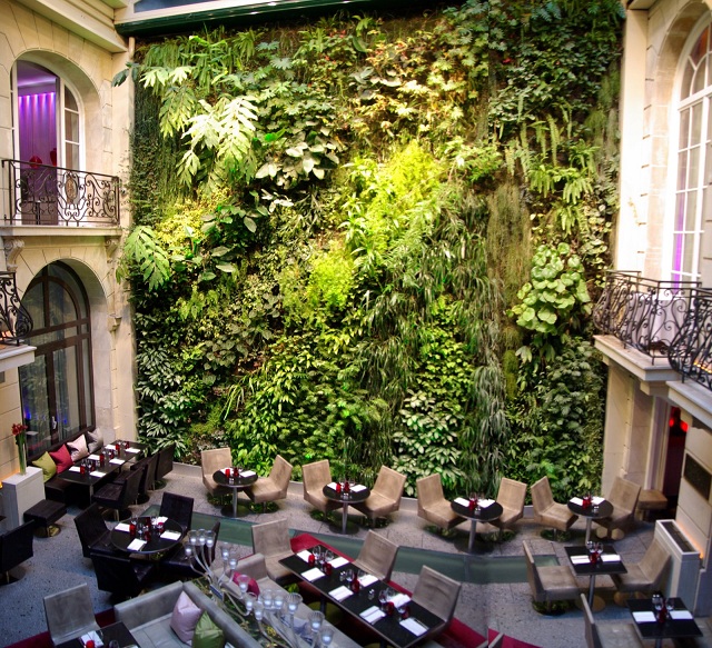 Zöldfal egy párizsi hotel éttermében