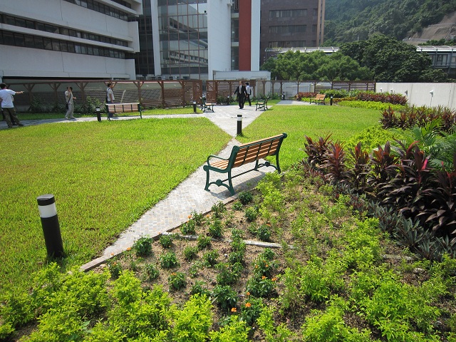 Eszt&eacute;tikus z&ouml;ldtető