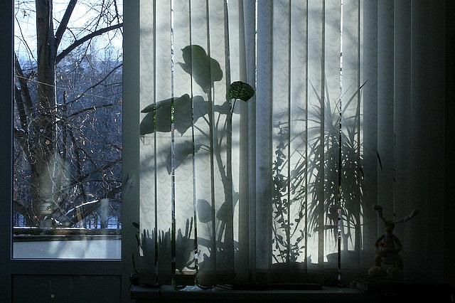 A növényeket estére vegyük el az ablakból.