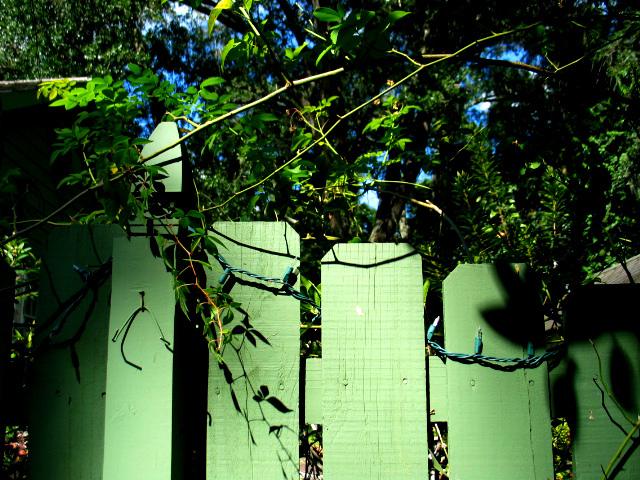 Zöld kerítés