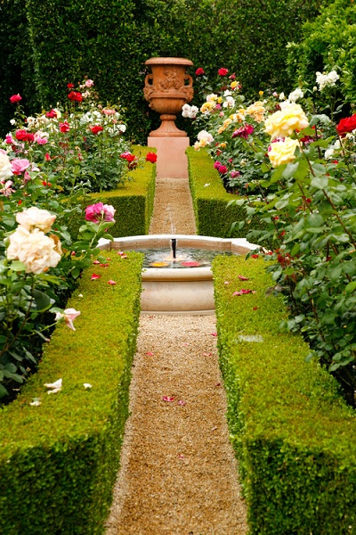 Rózsák a klasszikus kertben