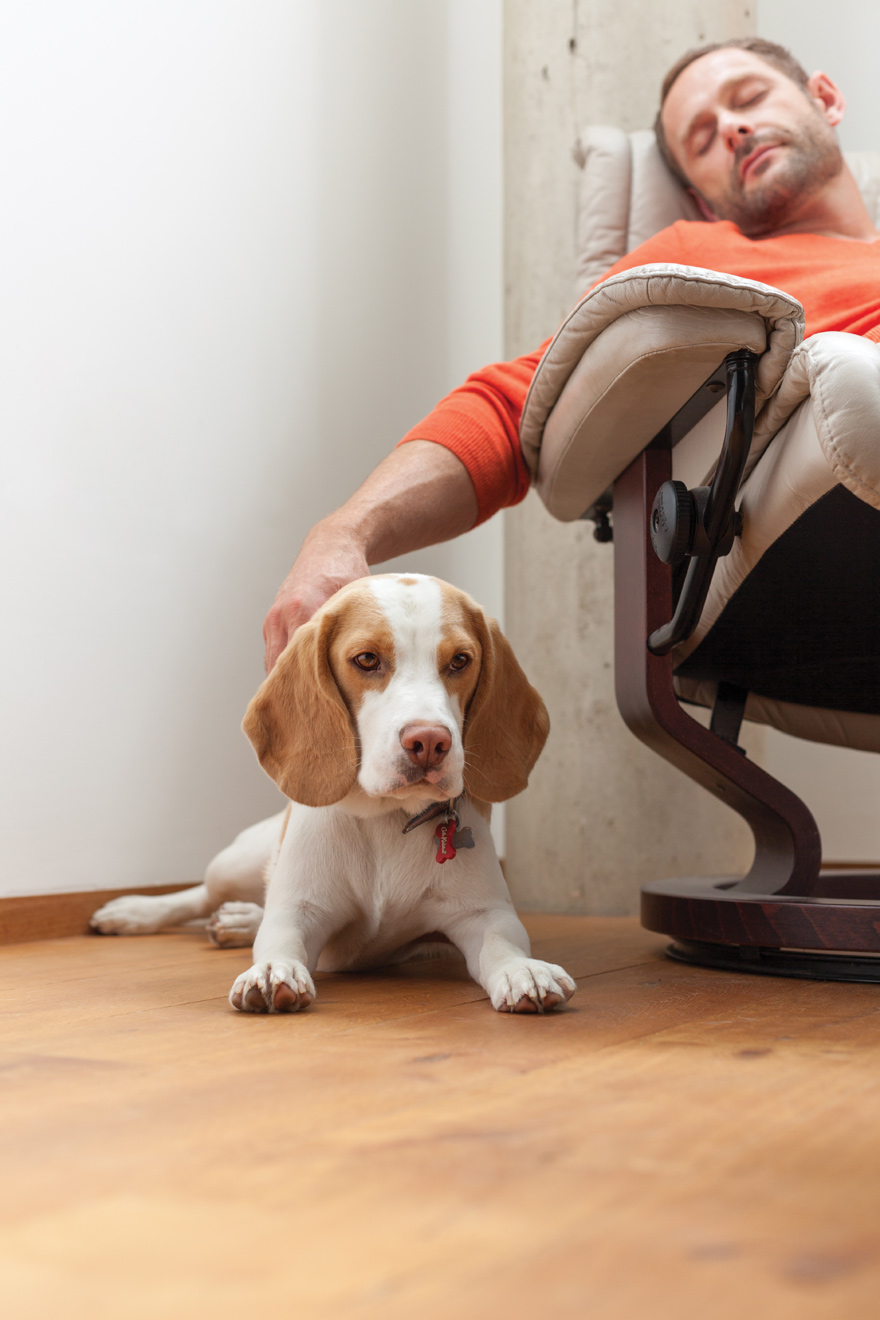 honeywell energiatakarékosság