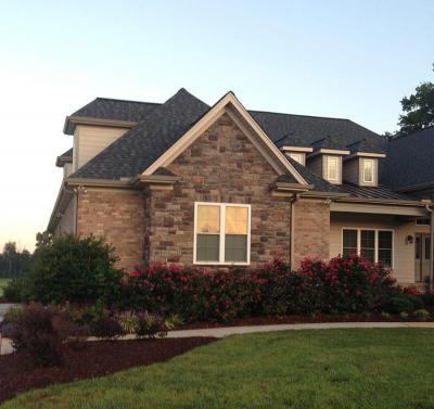 Gyönyörű kerti növények - külső továbbiak ötlet