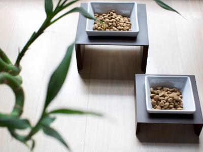 Kutyatál design - belső továbbiak ötlet, minimál stílusban