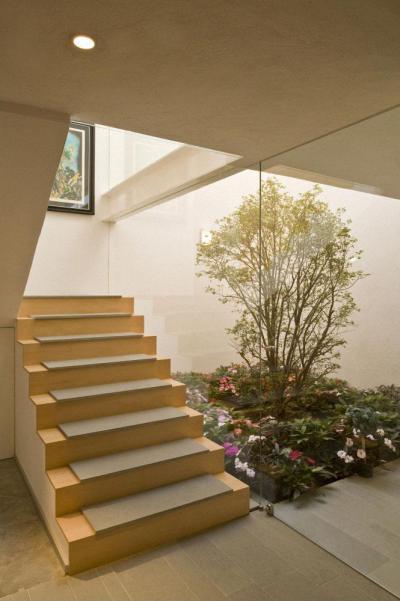 Lépcső és belső kert - belső továbbiak ötlet, modern stílusban