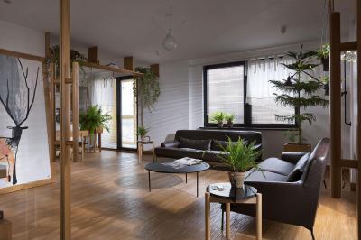 Növények a nappaliban - nappali ötlet, modern stílusban