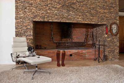 Kandalló a nappaliban - nappali ötlet