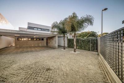 Modern lakóház - homlokzat ötlet, modern stílusban