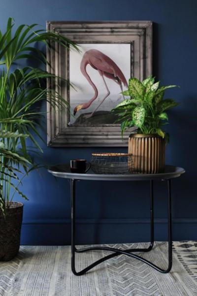 Sötétkék fal - nappali ötlet