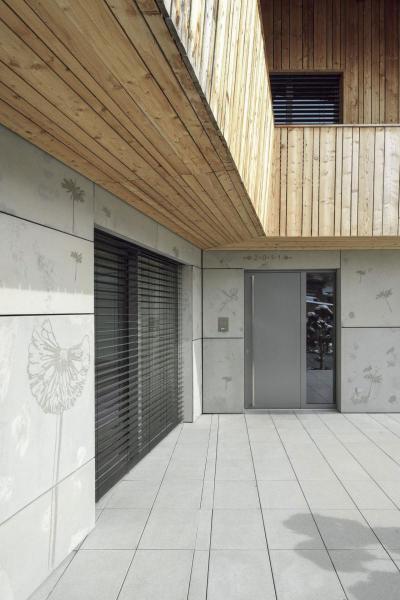 Fa és kő a homlokzaton - bejárat ötlet, modern stílusban