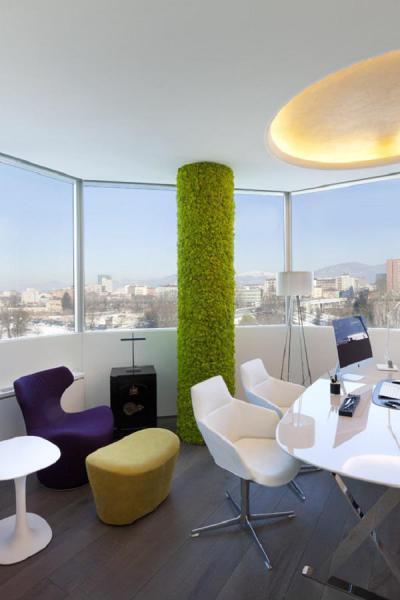 Oszlop zöldbe borulva - belső továbbiak ötlet, modern stílusban