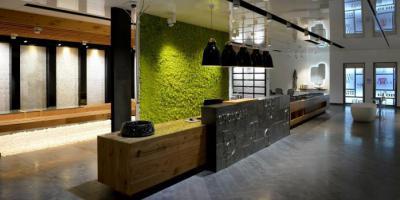 Recepció zöldfallal II - belső továbbiak ötlet, modern stílusban