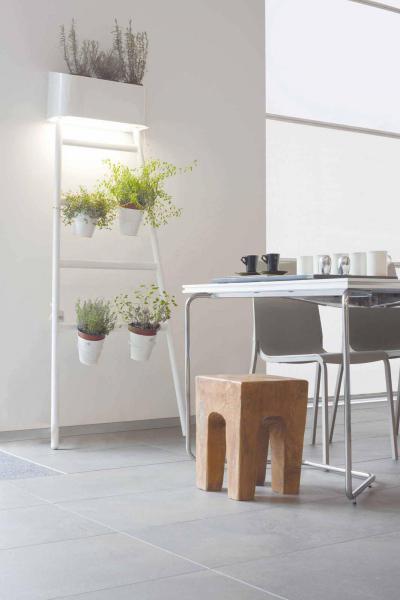 Virágállvány világítással - konyha / étkező ötlet, modern stílusban