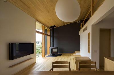 Fapadló és famennyezet - nappali ötlet, modern stílusban