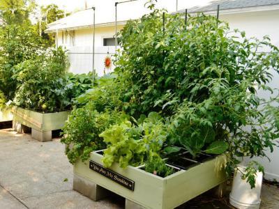 Magaságyás - kert / udvar ötlet, rusztikus stílusban