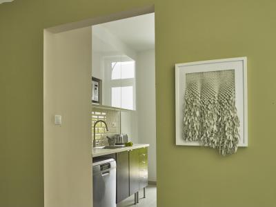 Színes fal a konyha előtt - belső továbbiak ötlet, modern stílusban