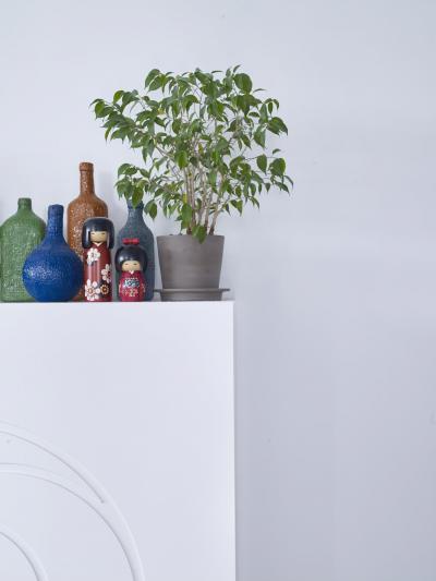 Pasztell színű fal - belső továbbiak ötlet, modern stílusban