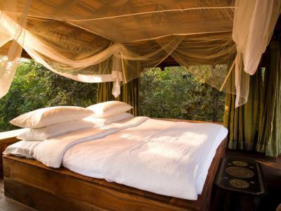 Hálószoba a fán - külső továbbiak ötlet, rusztikus stílusban