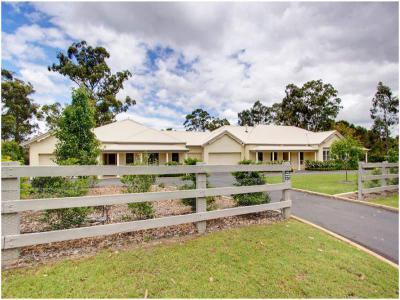 Kert,udvar - kert / udvar ötlet, modern stílusban