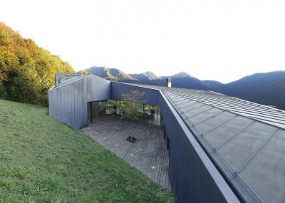 Fémlemez tető a modern lakóházon - tető ötlet, modern stílusban