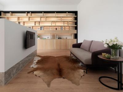 Tévésarok állatbőr szőnyeggel - nappali ötlet, modern stílusban