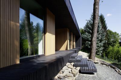 Natúr homlokzathoz illő ablakok - homlokzat ötlet, modern stílusban