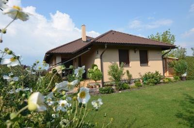 Tetőcserép modern lakóházon - tető ötlet, modern stílusban