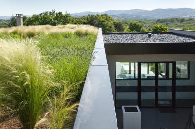 Kert a tetőn - BMI Villas extenzív zöldtető  - tető ötlet, modern stílusban