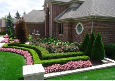 Virágágyás az udvarban7 - külső továbbiak ötlet