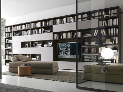 Könyvbirodalom - nappali ötlet, modern stílusban