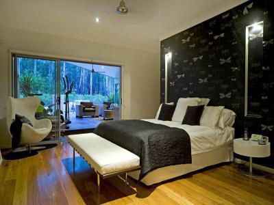 Szitakötős tapéta - háló ötlet, modern stílusban