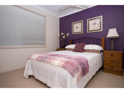 Minimál lila - háló ötlet, modern stílusban