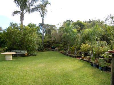 Kert,udvar - kert / udvar ötlet, modern stílusban