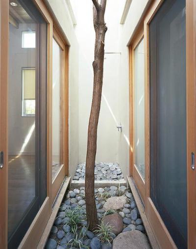 Belső kert - belső továbbiak ötlet, modern stílusban