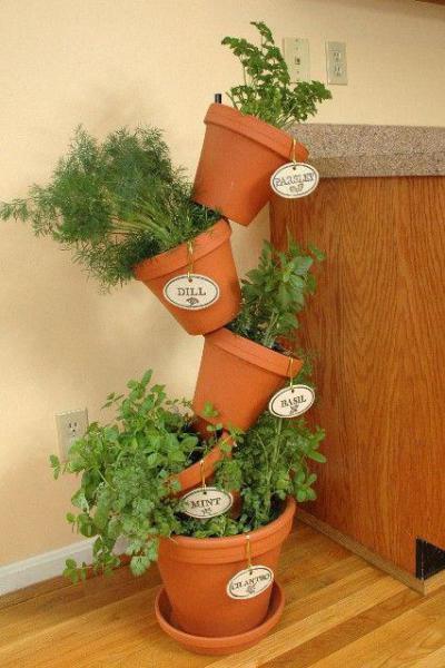 Fűszernövények tárolása - belső továbbiak ötlet, modern stílusban