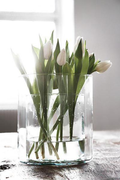 Virágokkal a szürkeség ellen - belső továbbiak ötlet, modern stílusban