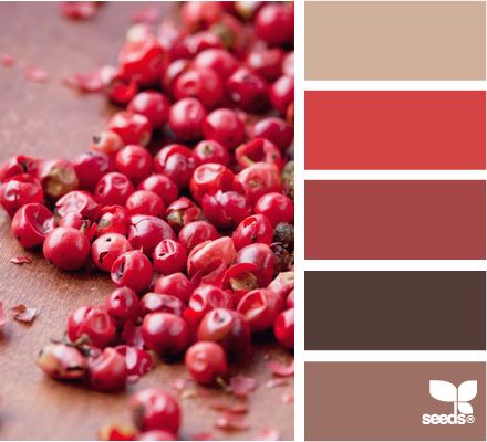 Színekben a harmónia intro_4