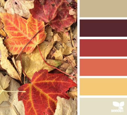 Színekben a harmónia intro_3