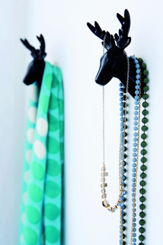 Állati fogasok intro_2