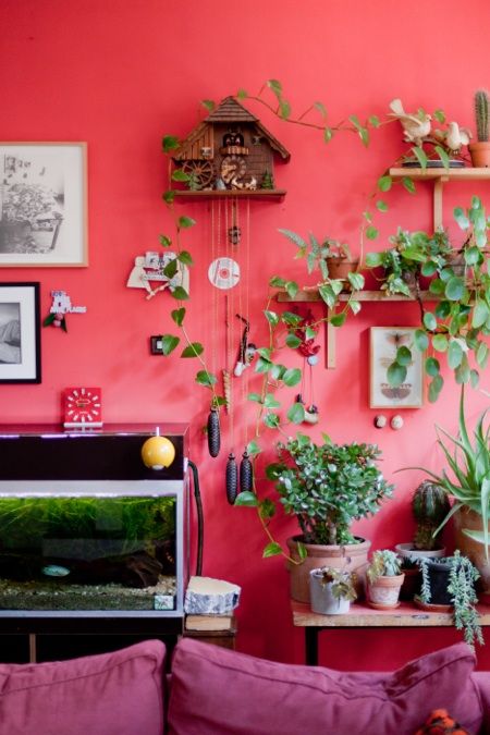 Sz&iacute;nes falak &ndash; hars&aacute;ny k&ouml;rnyezet full_0