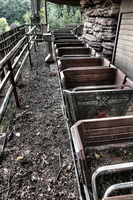 Csend, üresség, kóbor szél - bezárt vidámparkok  intro_10