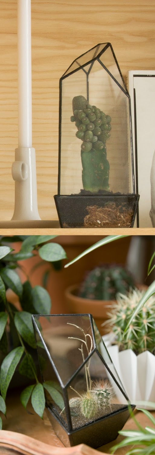 Urban Jungles- Skandináv dekoráció újragondolva full_1