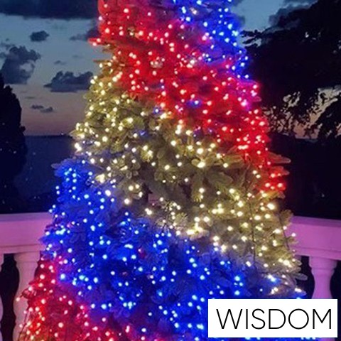 WISDOM SMART fényfüzér RGB 180LED 18m zöld kábellel 8 fun. IP44