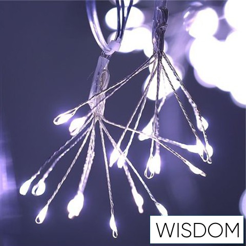 WISDOM tűzijáték fényfüzér hideg fényű 20dbx10LED 6m átlátszó kábellel Max Cs. 4db IP44